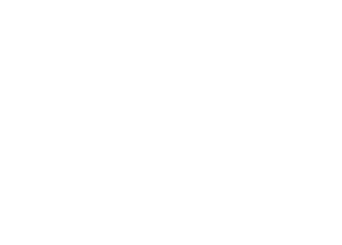 logo white